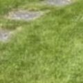 Profile picture of Burklin20
