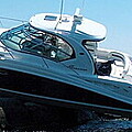 Profile picture of boat insurance